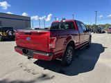 Certified 2017 Ford F150 XLT w/ Equipment Group 302A Luxury image 5