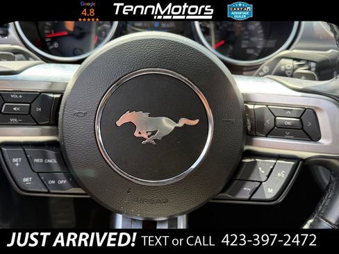Used 2019 Ford Mustang GT RWD image 14