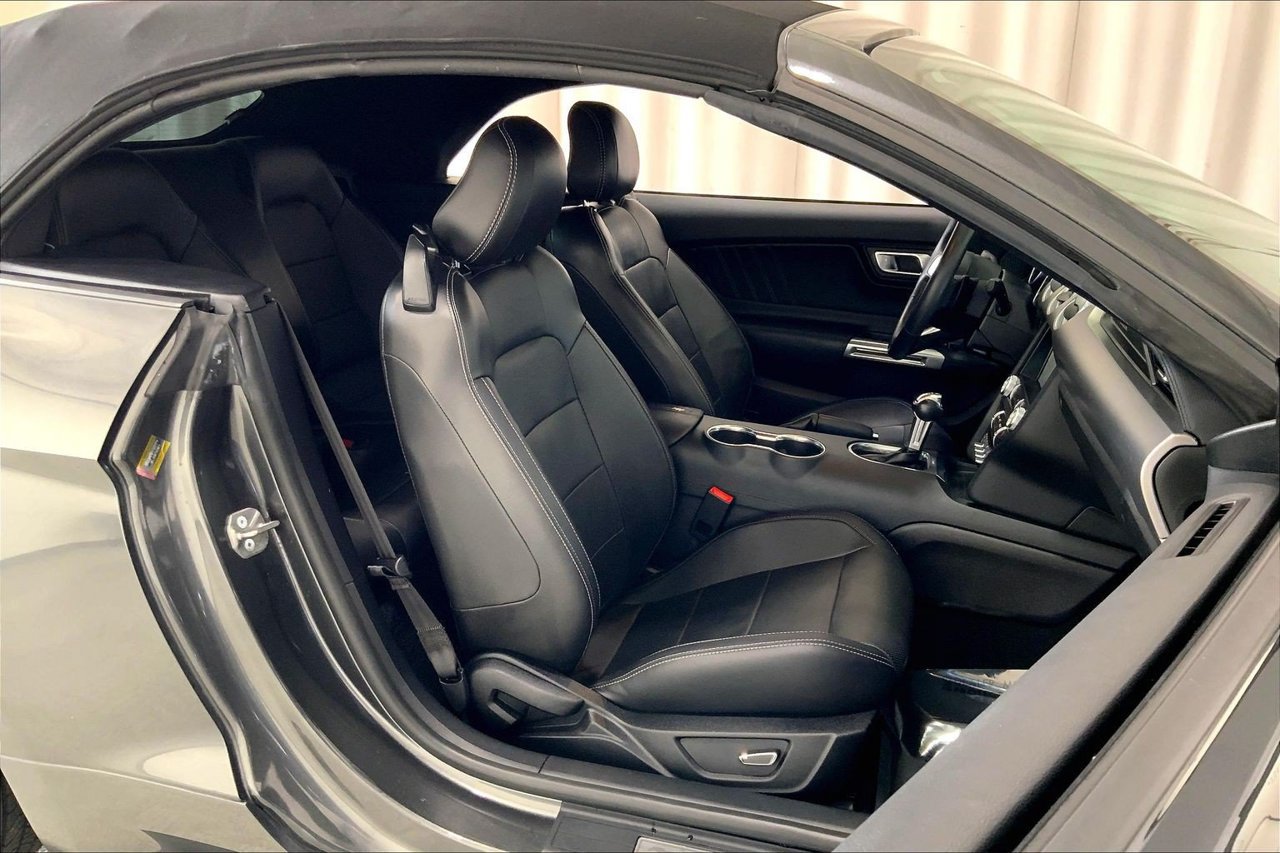 Used 2019 Ford Mustang Premium RWD image 6