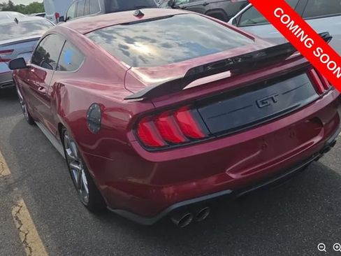 Used 2019 Ford Mustang GT Premium w/ Equipment Group 401A RWD image 3