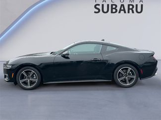 Used 2025 Ford Mustang Premium video 2