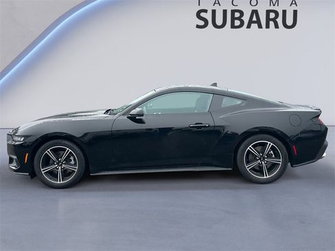 Used 2025 Ford Mustang Premium image 2