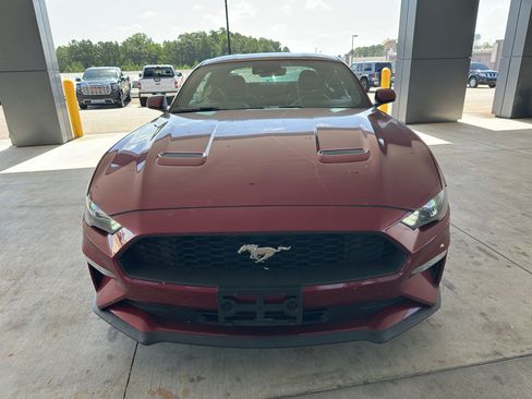 Used 2019 Ford Mustang Coupe w/ Ford Safe & Smart Package RWD image 2