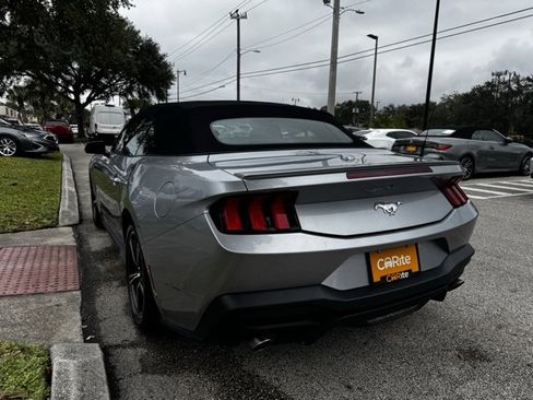 Used 2024 Ford Mustang Premium image 5