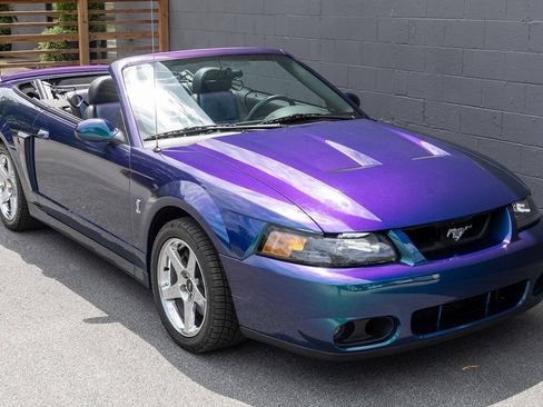 Used 2004 Ford Mustang Cobra RWD image 14
