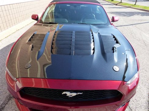 Used 2017 Ford Mustang GT Premium RWD image 15