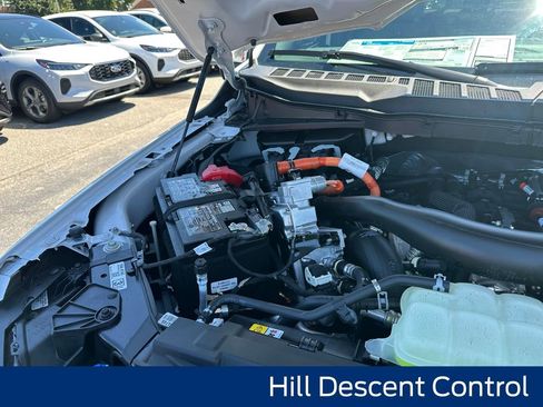 New 2025 Ford F150 XLT w/ Equipment Group 303A High image 22