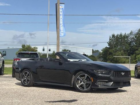 Used 2025 Ford Mustang Premium RWD image 13