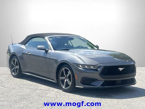 Used 2024 Ford Mustang Premium RWD image 4