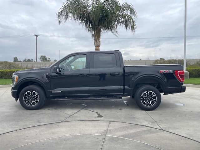 Used 2022 Ford F150 XLT w/ Equipment Group 302A High AWD/4WD image 5