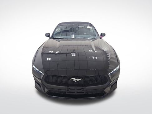 Used 2024 Ford Mustang Premium image 4