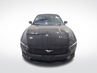 Used 2024 Ford Mustang Premium