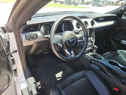 Used 2023 Ford Mustang Premium w/ Mustang Nite Pony Package RWD image 10