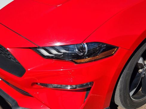 Used 2021 Ford Mustang Coupe image 4