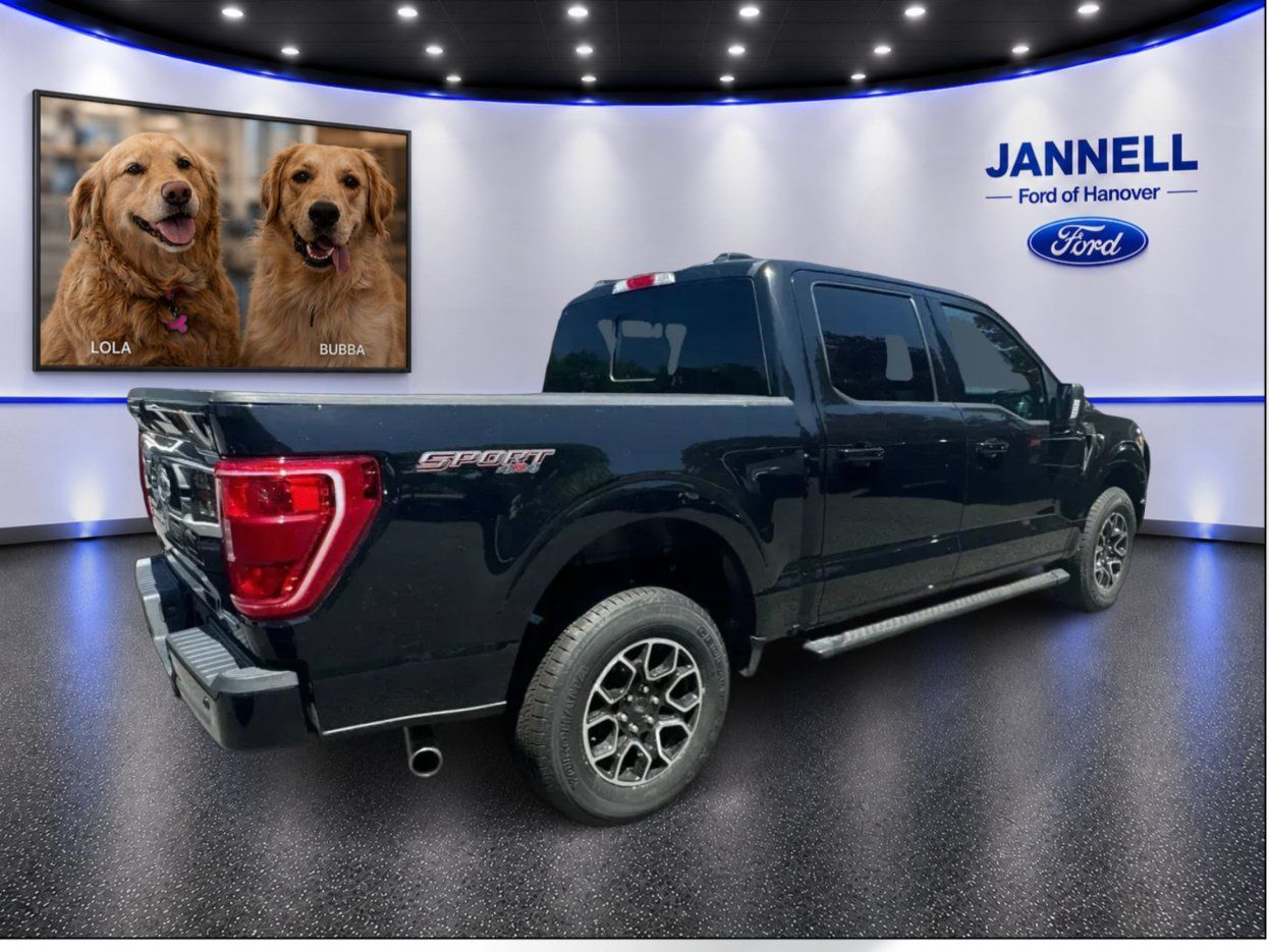 Used 2023 Ford F150 XLT w/ Equipment Group 302A High AWD/4WD image 6
