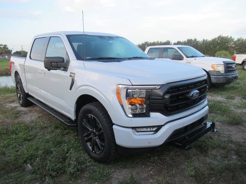 Used 2021 Ford F150 XLT w/ Equipment Group 302A High AWD/4WD image 1