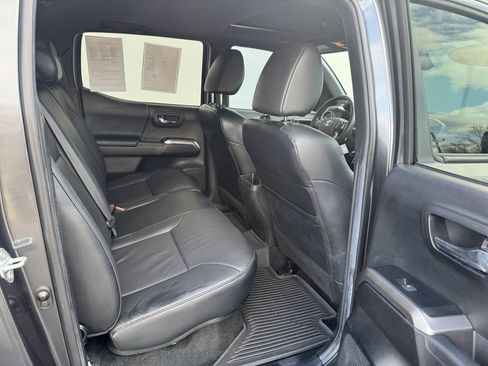 Used 2023 Toyota Tacoma Limited w/ Nightshade Package image 12