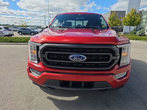 Used 2023 Ford F150 XLT w/ Equipment Group 302A High image 2