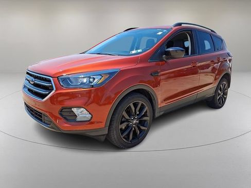 Used 2019 Ford Escape SE AWD/4WD image 5