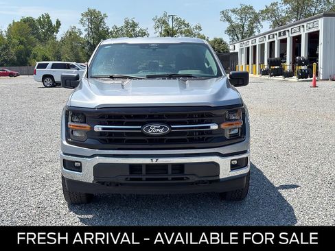 Used 2025 Ford F150 XLT w/ Equipment Group 301A Standard AWD/4WD image 2