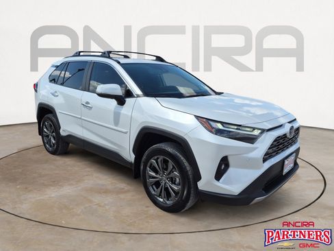 Used 2024 Toyota RAV4 Limited AWD/4WD image 1