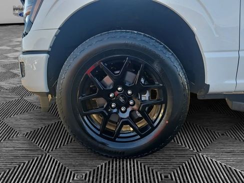 New 2025 Ford F150 STX w/ STX Black Appearance Package image 14