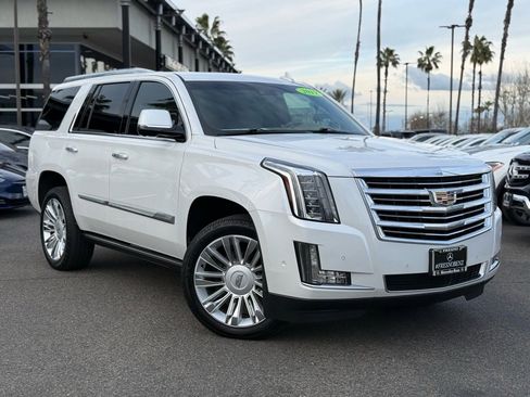 Used 2019 Cadillac Escalade Platinum image 1