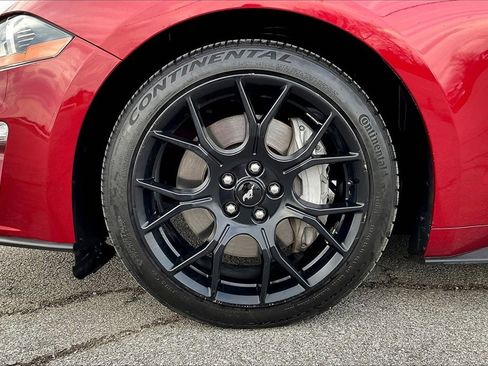 Used 2019 Ford Mustang Coupe w/ Ecoboost Performance Package image 8