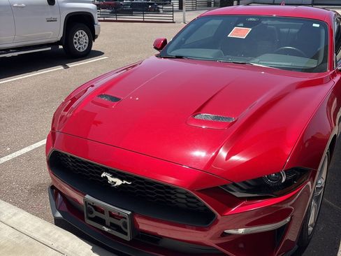 Used 2021 Ford Mustang Premium w/ Equipment Group 201A RWD image 1
