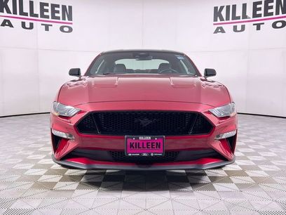 Used 2023 Ford Mustang GT Premium w/ Mustang Nite Pony Package