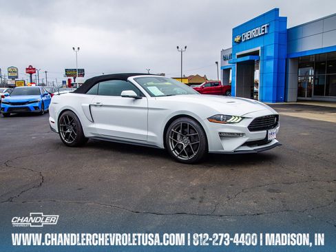 Used 2019 Ford Mustang GT Premium w/ Equipment Group 401A image 1
