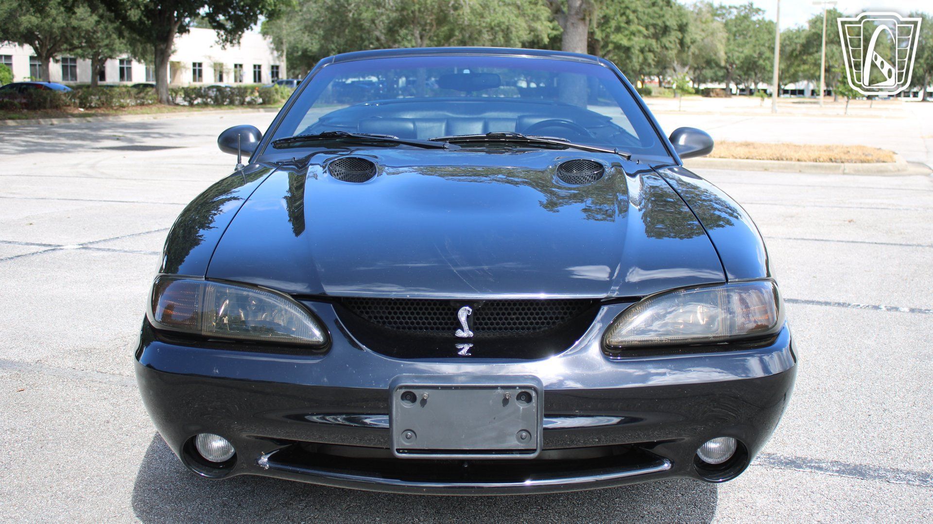 Used 1997 Ford Mustang Cobra RWD image 6