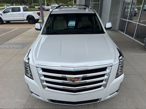 Used 2019 Cadillac Escalade Luxury AWD/4WD image 12