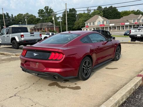 Used 2019 Ford Mustang Coupe w/ Equipment Group 101A RWD image 6