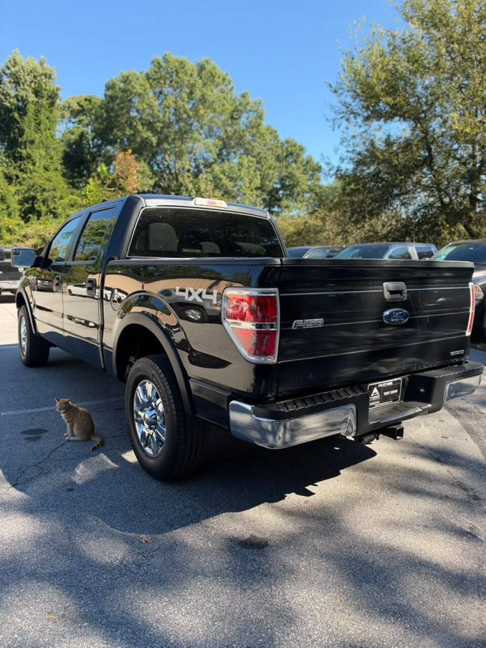 Used 2013 Ford F150 XLT w/ Trailer Tow Pkg AWD/4WD image 3