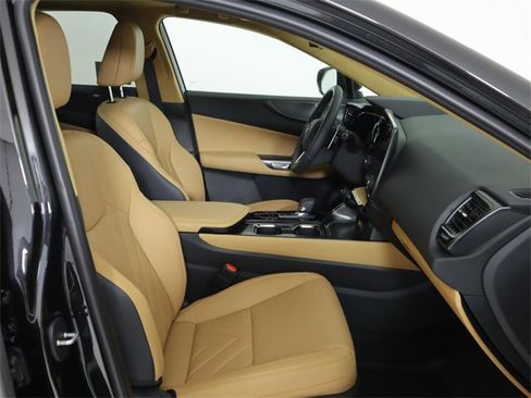 New 2026 Lexus NX 350 350 Luxury image 13