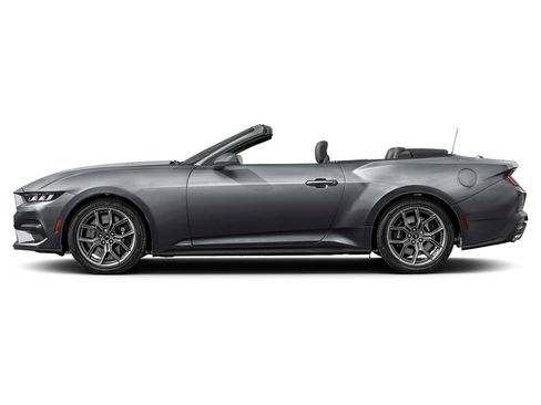 Used 2024 Ford Mustang Premium image 3