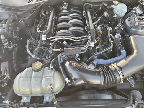 Certified 2023 Ford Mustang GT w/ Mustang Nite Pony Package RWD image 27