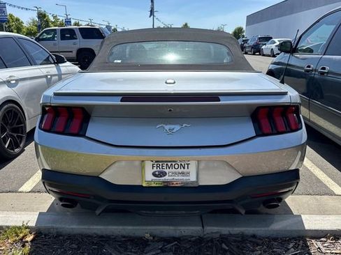 Used 2024 Ford Mustang Premium RWD image 6