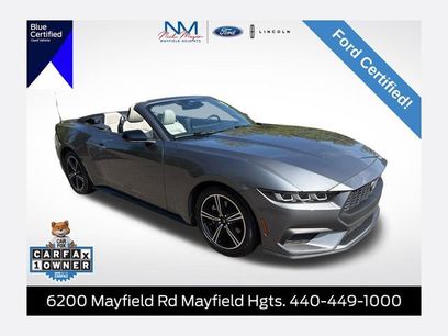 Used 2024 Ford Mustang Premium