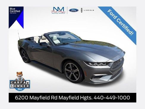 Used 2024 Ford Mustang Premium RWD image 1
