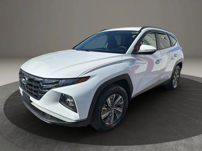 Used 2023 Hyundai Tucson Blue w/ Cargo Package