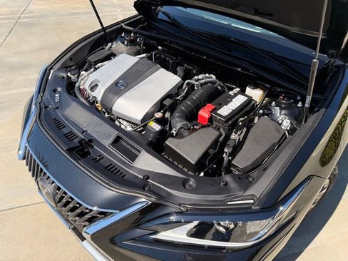 Certified 2025 Lexus ES 350 w/ Accessory Package (Z1) image 6