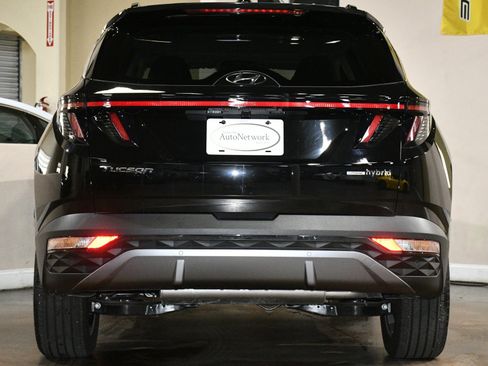 Used 2024 Hyundai Tucson Limited image 2