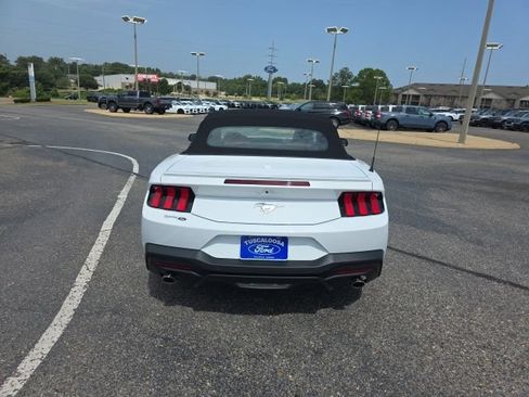 Used 2025 Ford Mustang Premium RWD image 4