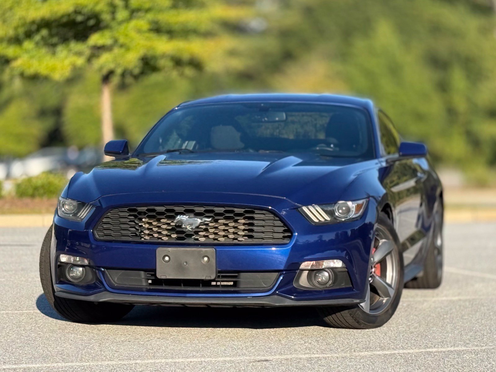 Used 2016 Ford Mustang Coupe w/ Equipment Group 051A RWD image 2