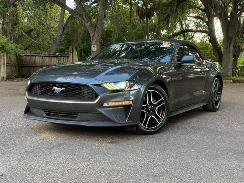 Used 2019 Ford Mustang Premium RWD image 1