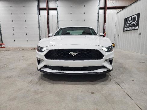 Used 2019 Ford Mustang EcoBoost Fastback w/ Equipment Group 101A image 2