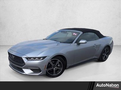 Used 2024 Ford Mustang Premium