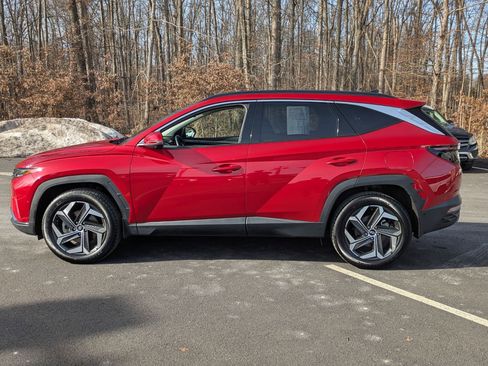 Certified 2022 Hyundai Tucson Limited w/ Winter Package image 8